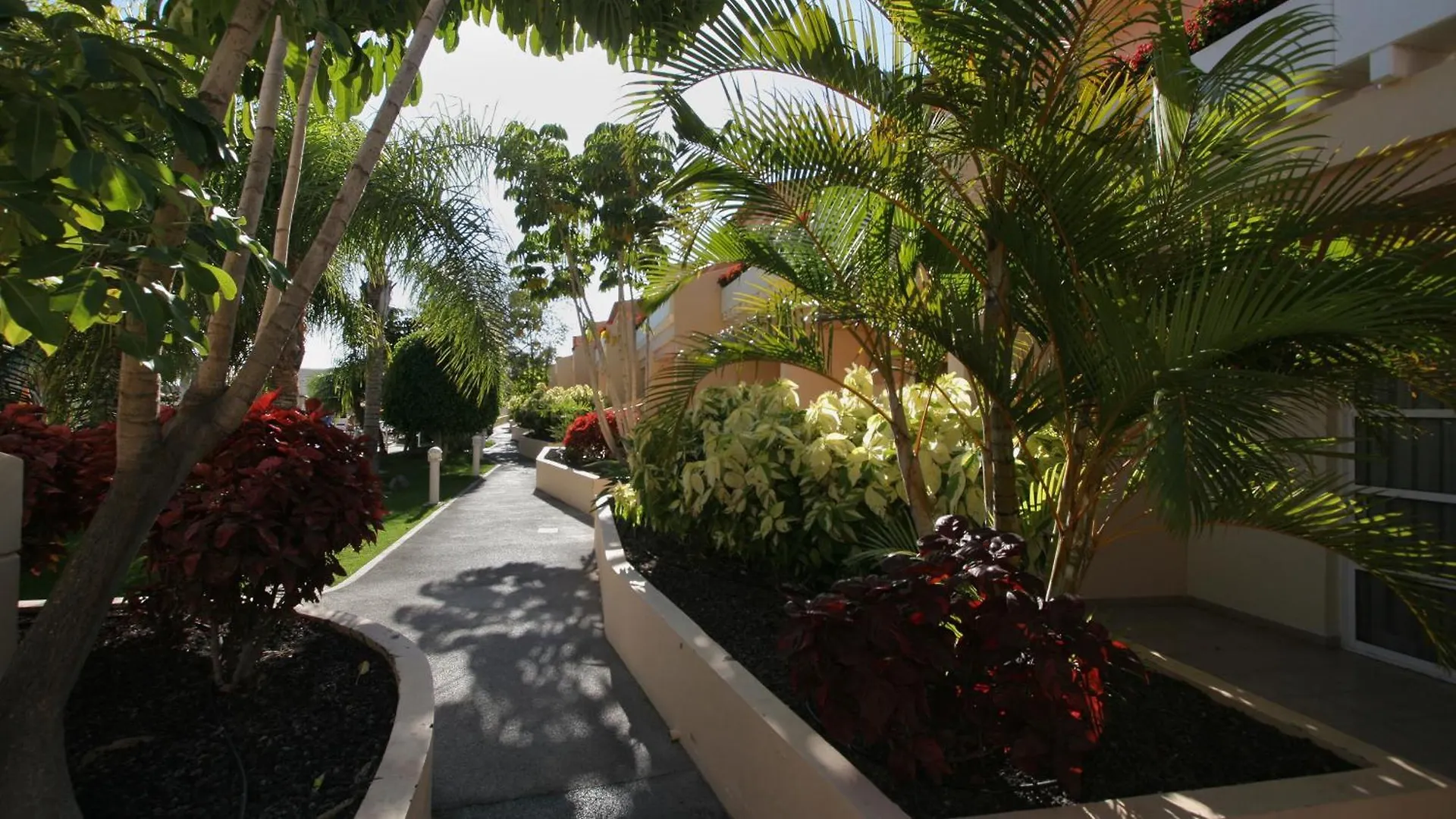 Apartamentos Jardin Del Conde Valle Gran Rey 0*,